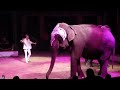 CIRKUS HUMBERTO AMADEO FOLCO