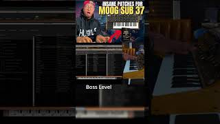 INSANE Moog Subsequent 37/25 Patches That DONT SUCK! | My Moog Sub37 Signature Pack!|