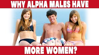 Why alpha males have more women in their life