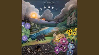 Field Guide to Wild Life - Joan Shelley