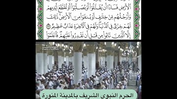 تلاوة من سورة المائدة قراءة الشيخ عبدالمحسن القاسم