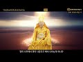 장미는 감사함을 몰라요 용화미륵부처님 공사상 시 - 용화음악산책