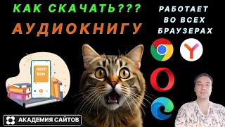 💎 Cкачать аудиокниги бесплатно без смс и регистрации - Расширение mediasave screenshot 5