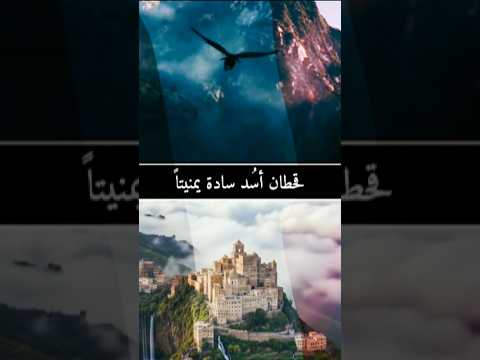 اليكم يا سادة أنها قحطان اليمن Shorts Short 