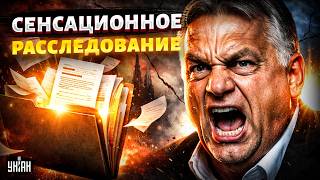 СКАНДАЛЬНЫЙ КОМПРОМАТ шарахнул по Орбану! Вот как либерал стал ПОДСТИЛКОЙ Путина