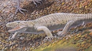 Mekosuchus: The Last Of The Land Crocodiles