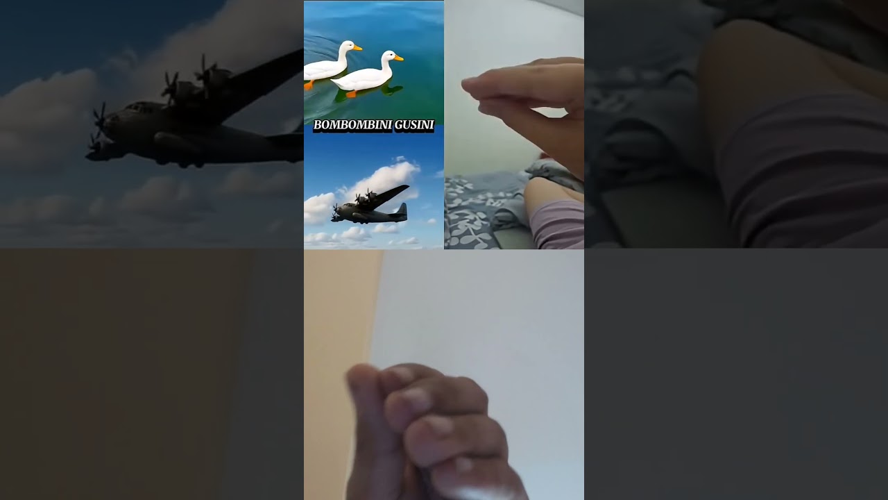 Barainrot? Real is This is Videos the  2.9B Like