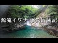 【源流冒険記】源流イワナを求め、未知の領域へ…【渓流釣り】
