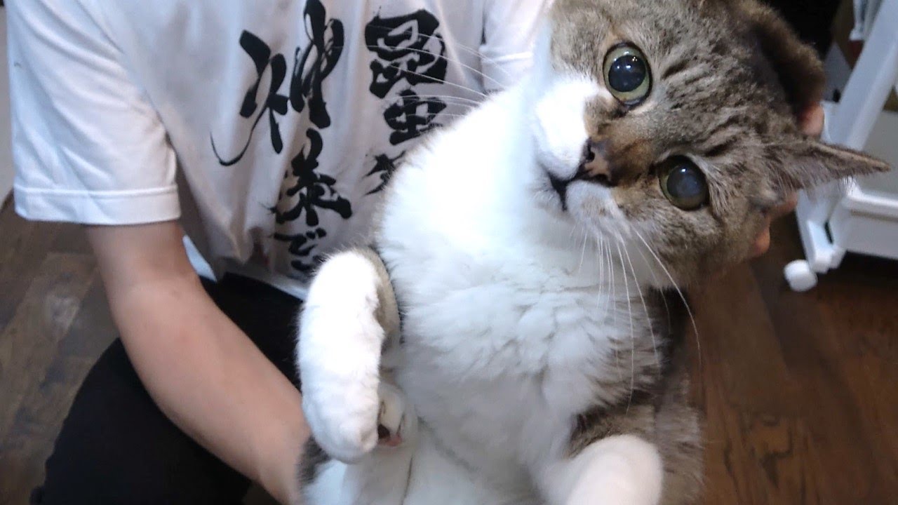 おーちゃんねるの大西央士郎は顔バレしていた 露天風呂カマキリ動画で炎上騒動も ネットのおもちゃ箱 おーちゃんねるの大西央士郎は顔バレしていた 露天風呂カマキリ動画で炎上騒動も ネットのおもちゃ箱