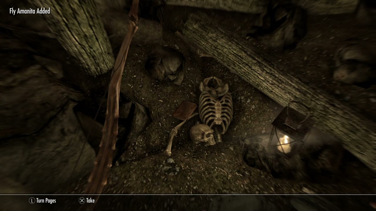 Skyrim PS4 SE with Free Creation Club Content - Mod List/Order w/Survival Mode On