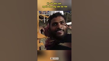 Người đàn ông bị rắn cắn, cắn lại rắn trả thù #tintuc #dulich #history #memes #phimhay #reviewphim