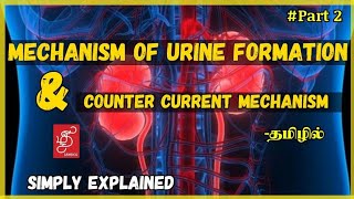 COUNTER CURRENT MECHANISM 2 | MECHANISM OF URINE FORMATION | RENAL PHYSIOLOGY #TAMILDENTICO