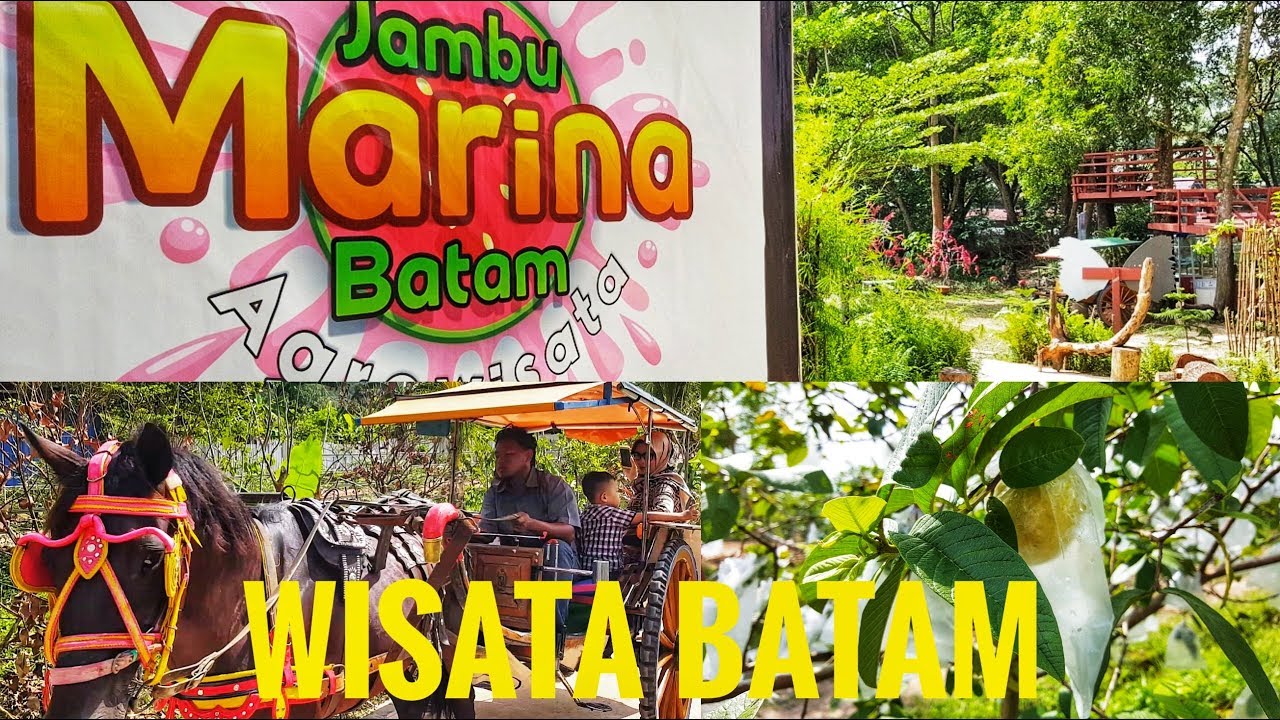Agrowisata Jambu Marina Batam Kawasan Wisata Agromarina Bp Batam Agrowisata Jambu Marina Batam Kawasan Wisata Agromarina Bp Batam