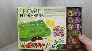 Набор для выращивания растений «Home Florarium» DANKO TOYS (HFL-01-01U) - Что может быть лучше?