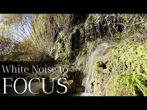 Before You Focus, You Need to TRY This Trick! Explore all White Noise Benefits in the Description