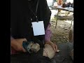 Pembuatan Produk Kraf Tempurung