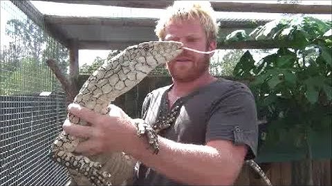 K Brothers Pythons ep. 8 - Joe Ball part one