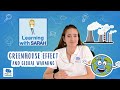 Understanding Global Warming and the Greenhouse Effect