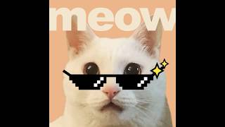 Kim Jeong_uk(김정욱) - meow [Audio]
