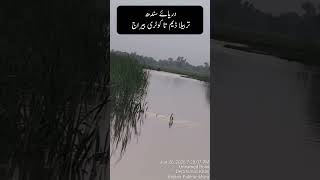 Sindh river today news