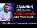 Адамның жолының жабылуының ееең үлкен себебі...