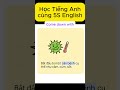 Come down with = Bị bệnh, mắc bệnh (thường là bệnh nhẹ) #cụmtừtiếnganh #họctiếnganh #từvựngtiếnganh