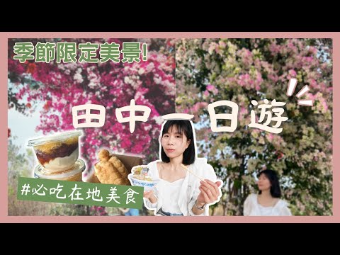 全台最美九重葛花瀑 #彰化景點 田中一日遊 必吃銅板美食 豆花王 龍吉高麗菜飯 日興雞蛋糕 阿秀蔥抓餅 阿行冰店