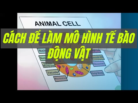 Video: 3 cách để tạo mô hình tế bào động vật và thực vật theo ba chiều