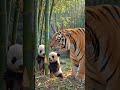#kidsstory #cartoon #kidsvideo #funny #kidsvideo #kidsstory