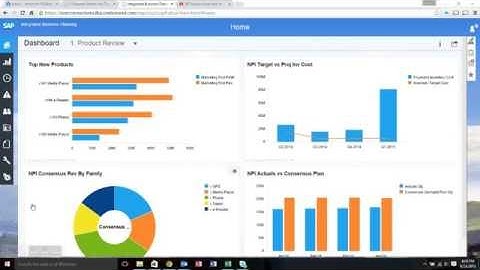IBP: Web Frontend Basics (SCM Connections Tutorial)