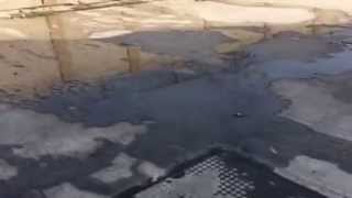 Vijay Shanthi builders - Lotus pond apartments@Omr, Kelambakkam
