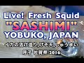 Fresh Squid SASHIMI JAPAN 2016 剣先イカが生きてる呼子唐津の活け造り