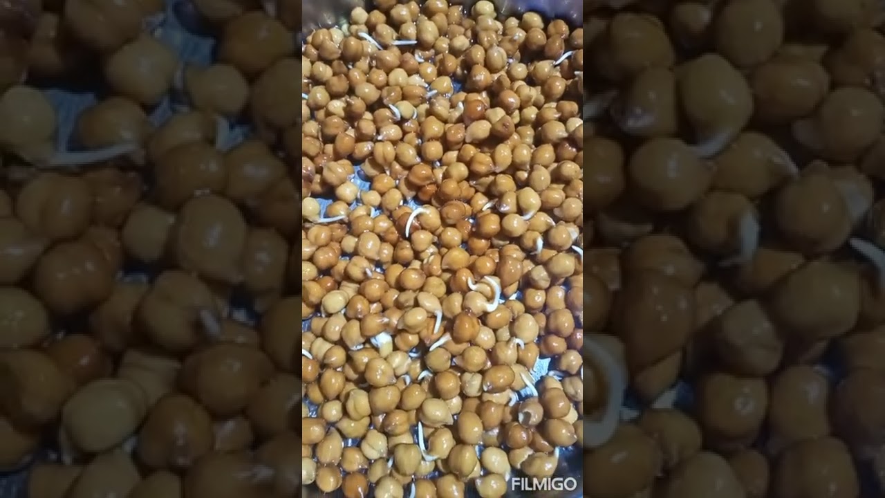 mulappicha kdala curry