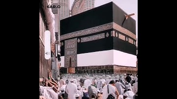 سورة الرحمن | القارئ سعد الغامدي حالات واتس اب - ستوري انستغرام قرآن الكريم Quran