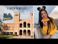 A Week In the Life of a UCLA College Student