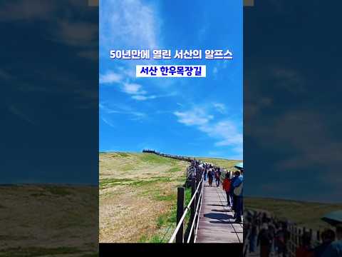 [50년만에 개방된 한국의 알프스]충남서산 꼭 가봐야할곳!! 한우목장 웰빙산책로!!
