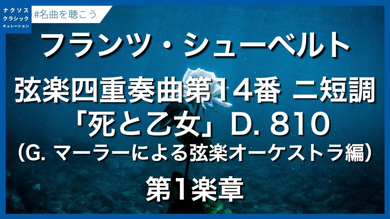 シューベルト：弦楽四重奏曲第14番 ニ短調「死と乙女」 D. 810 - 第1