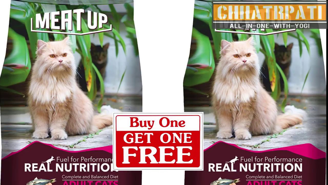 Meat up cat food unboxing YouTube