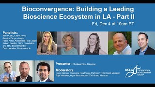 Bioconvergence II