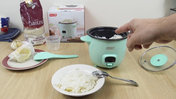 20200603 Review Little Rival Rice Cooker 