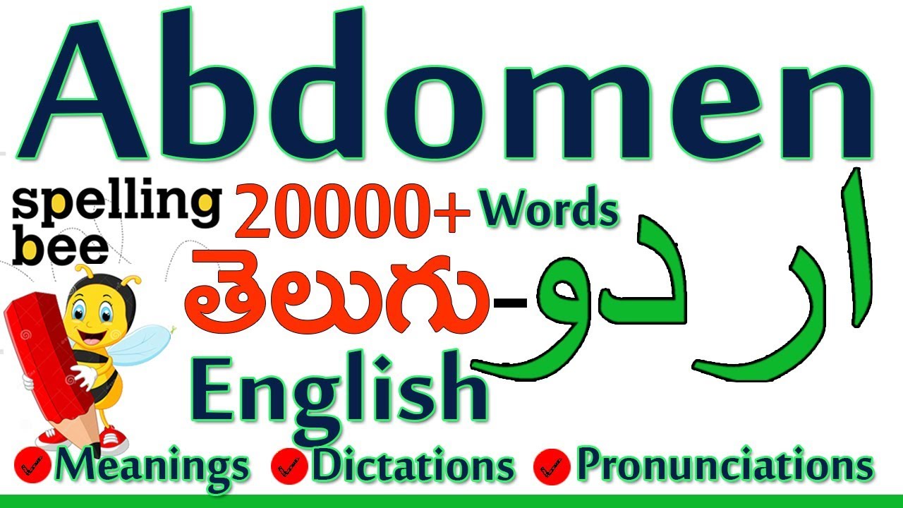 Abdomen Meaning Definition Or Means In Urdu Telugu And English اردو لفظ Learn Urdu Through Telugu Youtube