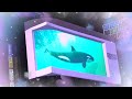『鴨川シーワールド』 帰りに『クロス新宿ビジョン』見てきた♪😆💦