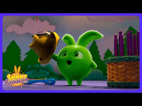 Can Hopper Fly? ✈️ - Sunny Bunnies | Kids Cartoons | WildBrain Learning Lab