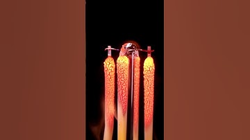 Burning incandescent light bulb #Shorts #macro #closeup