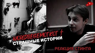 видео: СТИНТ СМОТРИТ WorldBegemotKot † (СБОРНИК) картинка: СТИНТ СМОТРИТ WorldBegemotKot † (СБОРНИК)