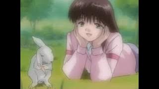 not because you're a rabbit