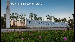 Payment Elections Video Tutorial