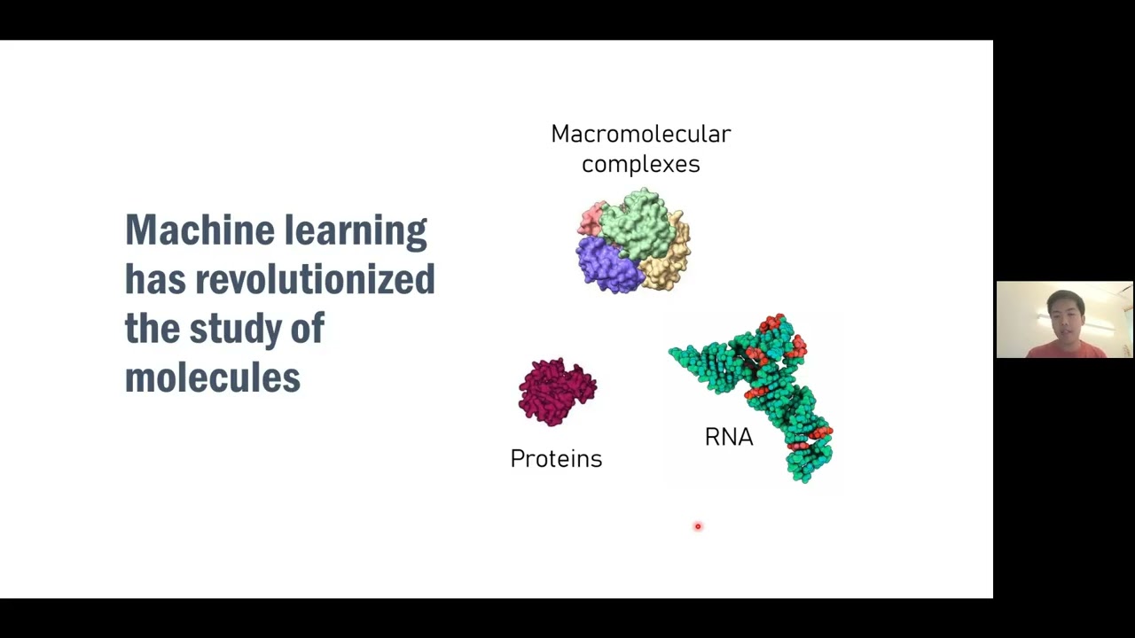 Genome Modeling and Design: From the Molecular to Genome Scale