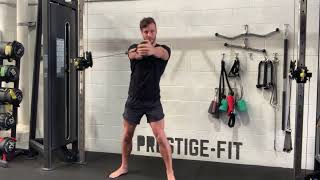 Standing Cable Lateral Twists demonstration