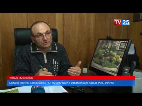 ბათუმში ციტრუსოვანთა ხეივანი გაშენდება